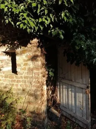 Apart Daire, 1 Büyük (Queen) Boy Yatak