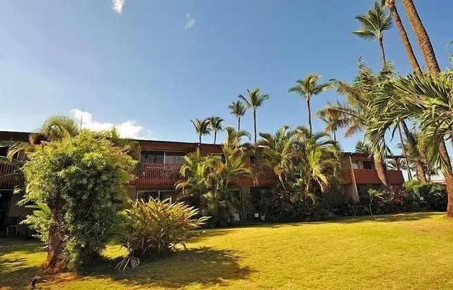 Daire (Amazing Luxury Beach Condo South Kihe)