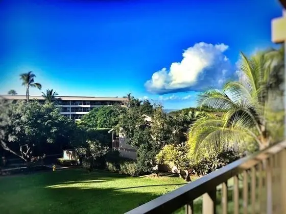 Daire (Amazing Luxury Beach Condo South Kihe)