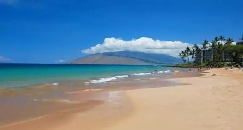 Daire (Amazing Luxury Beach Condo South Kihe)