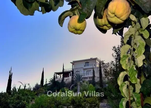 Villa, 5 Yatak Odası, Sigara İçilebilir, Şömine