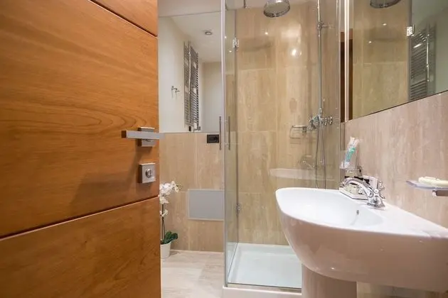 Deluxe Apart Daire, 1 Yatak Odası, Şehir Manzaralı (Int. 9)