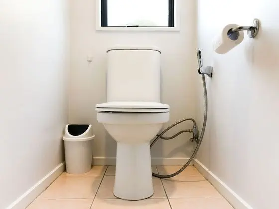 Comfort Tek Büyük Yataklı Oda, 1 En Büyük (King) Boy Yatak, Göl Manzaralı, Göl Kenarı
