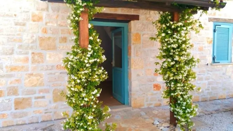 Apart Daire, 2 Yatak Odası, Balkon