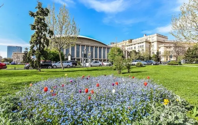 Apart Daire, 1 Yatak Odası, Sigara İçilebilir, Mikrodalga