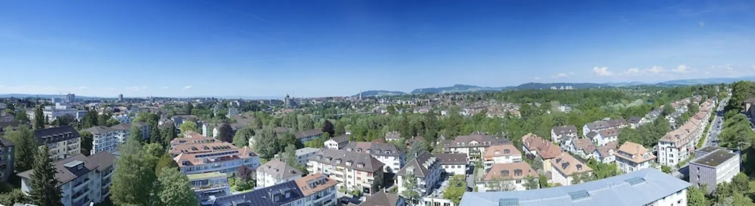 Junior Süit