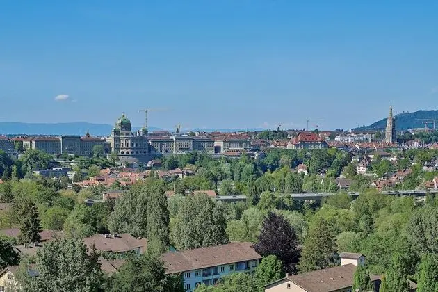 Junior Süit