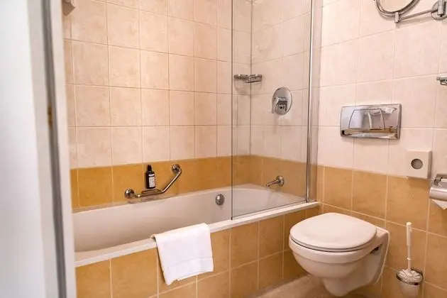 Comfort Plus Room