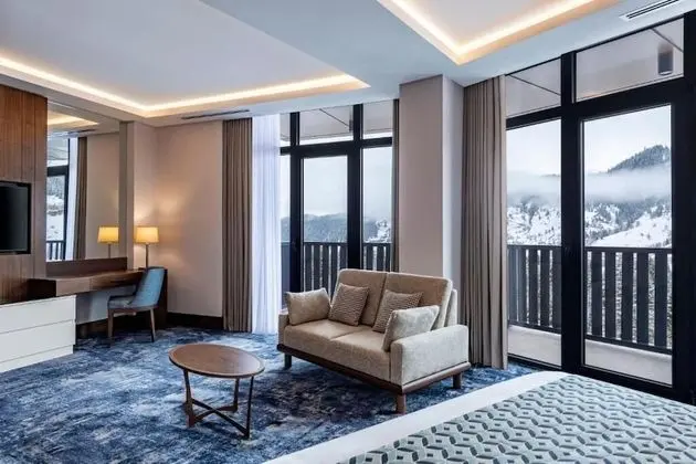 Executive Oda, 1 Yatak Odası