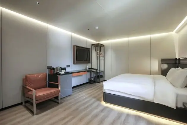Premium Tek Büyük Yataklı Oda (Premium Type)