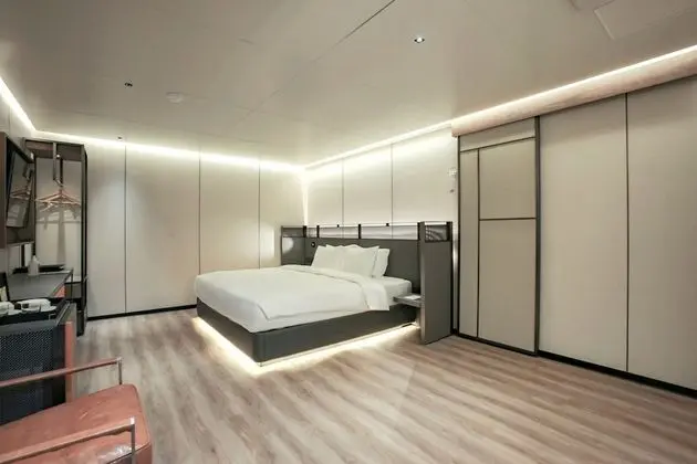 Premium Tek Büyük Yataklı Oda (Premium Type)
