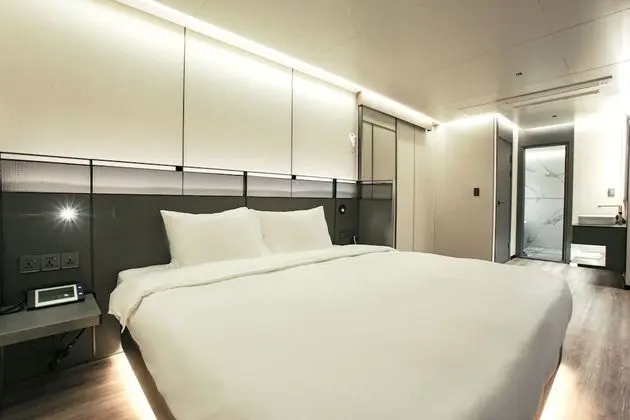 Premium Tek Büyük Yataklı Oda (Premium Type)