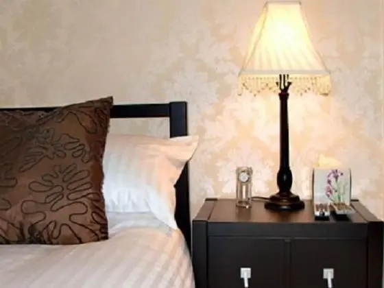 Tek Büyük Yataklı Oda, Banyolu/Duşlu (Spacious-Poirot Room)