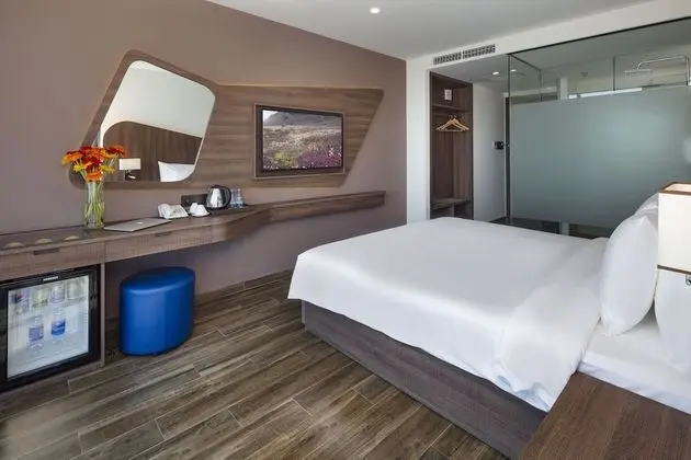 Deluxe Tek Büyük veya İki Ayrı Yataklı Oda, Şehir Manzaralı