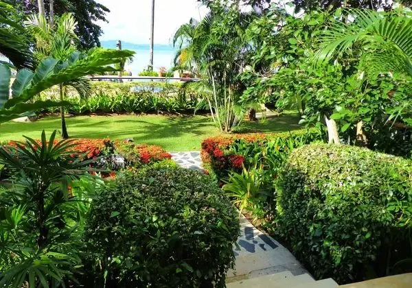 Superior Bungalow