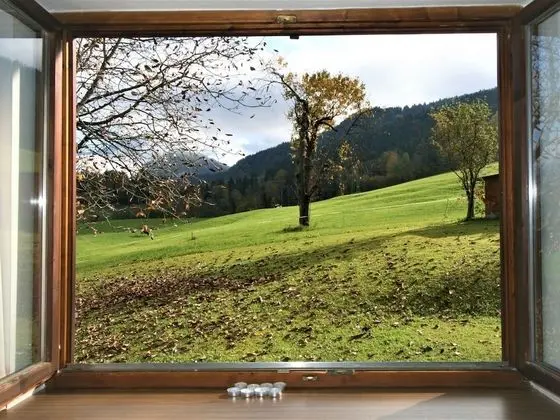 Ev