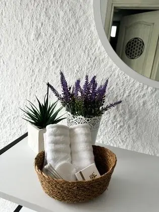 3 Kişilik Oda, Havuz Manzaralı, Havuz Bağlantılı