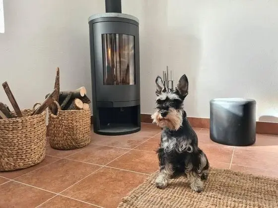 Ev, Birden Çok Yatak