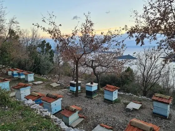 Ev, Birden Çok Yatak