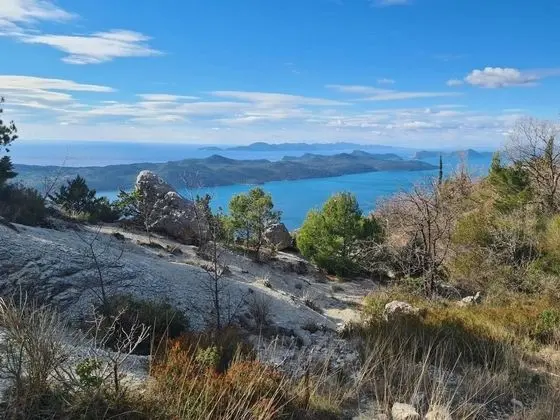 Ev, Birden Çok Yatak