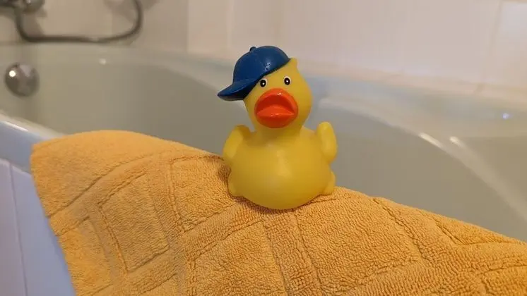 Süit