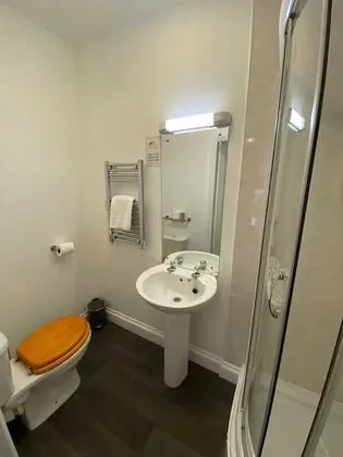 Superior Tek Büyük Yataklı Oda