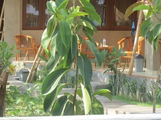 Oda, 1 Çift Kişilik Yatak (AC)