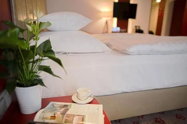 Comfort Tek Kişilik Oda