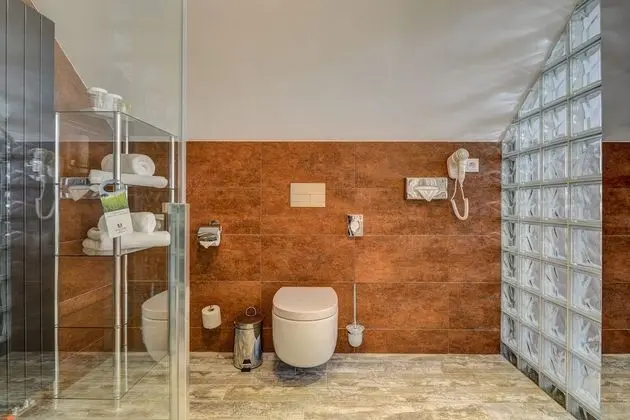 Superior Tek Büyük Yataklı Oda, 1 Büyük (Queen) Boy Yatak, Sigara İçilmez