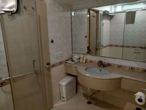 Deluxe Tek Kişilik Oda, 1 Büyük (Queen) Boy Yatak, Sigara İçilebilir, Şehir Manzaralı