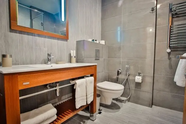 Deluxe Tek Büyük veya İki Ayrı Yataklı Oda, Sigara İçilmez