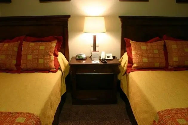 Standard Tek Büyük Yataklı Oda, 1 Yatak Odası, Şehir Manzaralı (2 Single Beds + Sofa Bed)