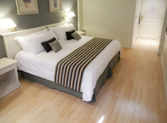 Standard Tek Büyük Yataklı Oda, 1 Çift Kişilik Yatak