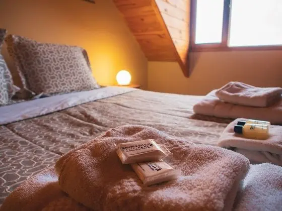 Tek Büyük Yataklı Oda, 1 Çift Kişilik Yatak, Ortak Banyo