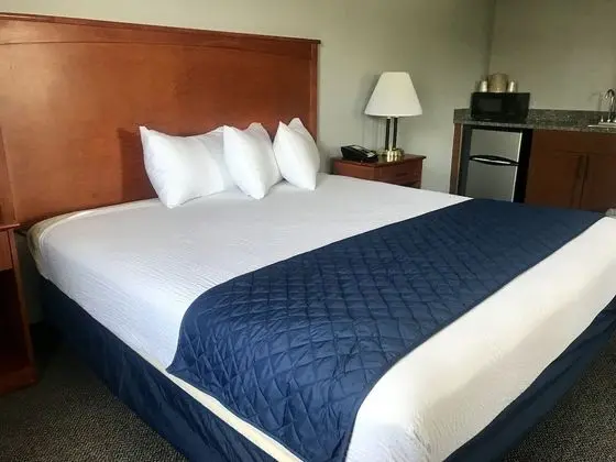 Standard Oda, 1 Yatak Odası (Smoking, 1 King Bed)