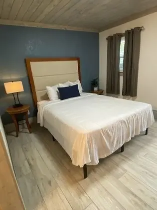 Basic Stüdyo