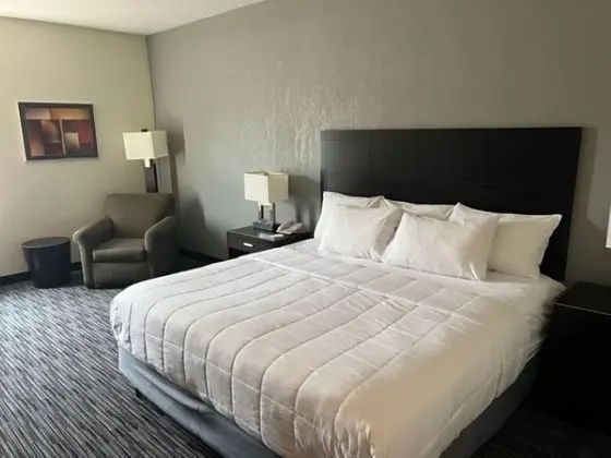 Oda, 1 En Büyük (King) Boy Yatak, Sigara İçilmez, Özel Banyo