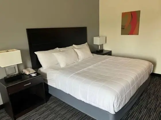 Oda, 1 En Büyük (King) Boy Yatak, Sigara İçilmez, Özel Banyo