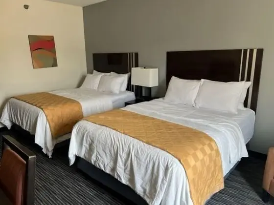 Standard Oda, 2 Büyük (Queen) Boy Yatak, Sigara İçilmez