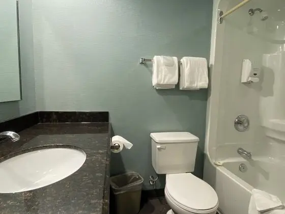 Junior Kiddie Suite, Non Smoking, Includes Waterpark Passes for Five Guests