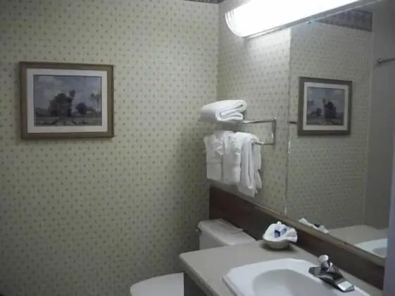 Oda, 2 Büyük (Queen) Boy Yatak (Pet Friendly)