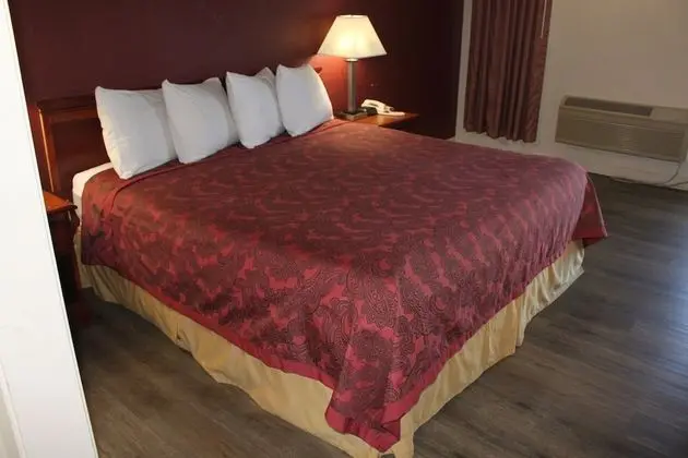 Standard Tek Kişilik Oda, 1 En Büyük (King) Boy Yatak, Sigara İçilmez