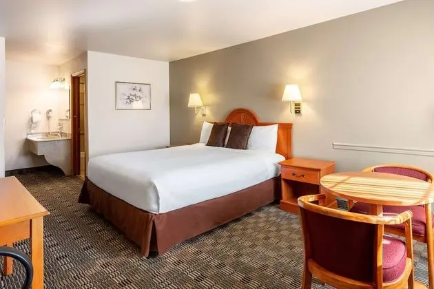 Oda, 1 Büyük (Queen) Boy Yatak, Sigara İçilmez