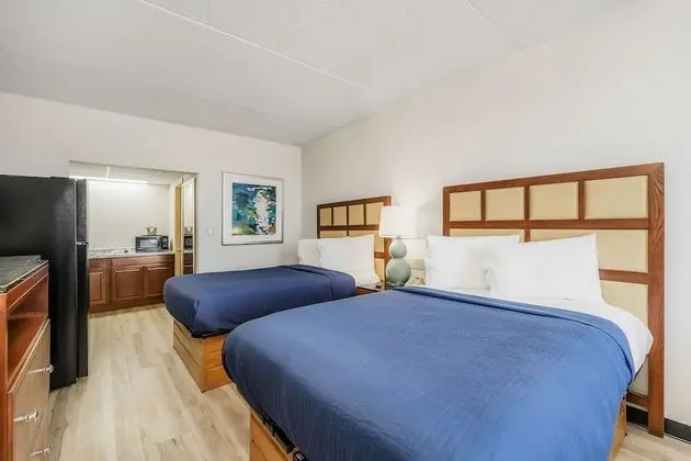 Kitchenette With Cook-Top, Double Room, 2 Queen Beds, Smoking, Kitchen