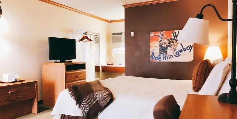 Classic Oda, 1 En Büyük (King) Boy Yatak, Sigara İçilmez, Buzdolabı ve Mikrodalga