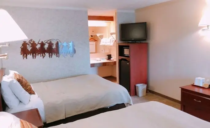 Deluxe Oda, 2 Büyük (Queen) Boy Yatak, Sigara İçilmez, Buzdolabı ve Mikrodalga