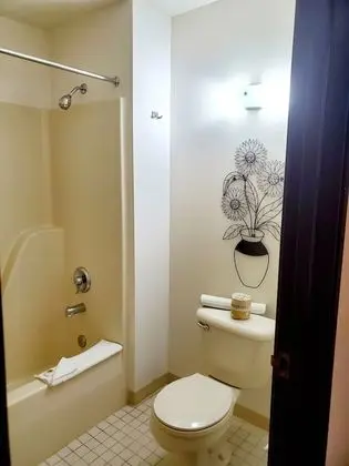 Deluxe Oda, 2 Büyük (Queen) Boy Yatak, Sigara İçilmez, Buzdolabı ve Mikrodalga