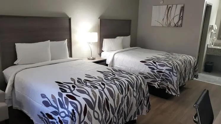 Deluxe Oda, 2 Çift Kişilik Yatak, Sigara İçilmez
