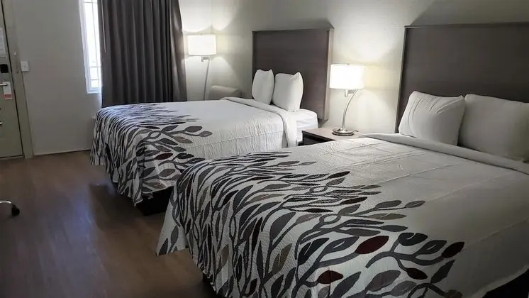 Deluxe Oda, 2 Çift Kişilik Yatak, Sigara İçilmez