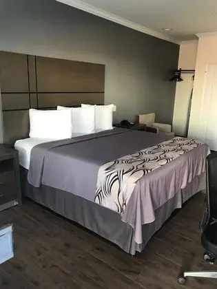 Economy Tek Kişilik Oda